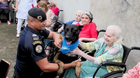 Os cães promoveram um momento de sensibilização aos idosos - Imagem: Prefeitura de Santos