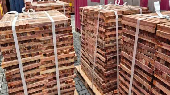 Receita Federal encontrou 13,3 toneladas de madeira da espécie sebastião-de-arruda misturadas a uma carga declarada como eucalipto no Porto de Santos. O material foi avaliado em R$ 4,3 milhões - Imagem: Divulgação/Receita Federal