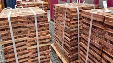 Receita Federal encontrou 13,3 toneladas de madeira da espécie sebastião-de-arruda misturadas a uma carga declarada como eucalipto no Porto de Santos. O material foi avaliado em R$ 4,3 milhões - Imagem: Divulgação/Receita Federal