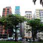Imagem: Vanessa Rodrigues/ A Tribuna Jornal