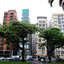 Imagem: Vanessa Rodrigues/ A Tribuna Jornal