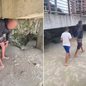 Homem de 53 anos foi preso após uma testemunha registrar a movimentação dele com uma criança sob um deck na Praia da Enseada, no Guarujá. A Polícia Civil investiga o caso como estupro de vulnerável - Imagem: Reprodução/Redes Sociais