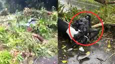 A queda da árvore destaca a importância da manutenção das áreas verdes e da atenção ao dirigir em rodovias - Imagem: Reprodução