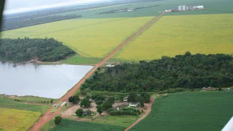 Foi suspendida pelo Tribunal Regional Federal da 4ª Região (TRF-4) qualquer aquisição de terras brasileiras por empresas estrangeiras - Imagem: reprodução Inteliagro