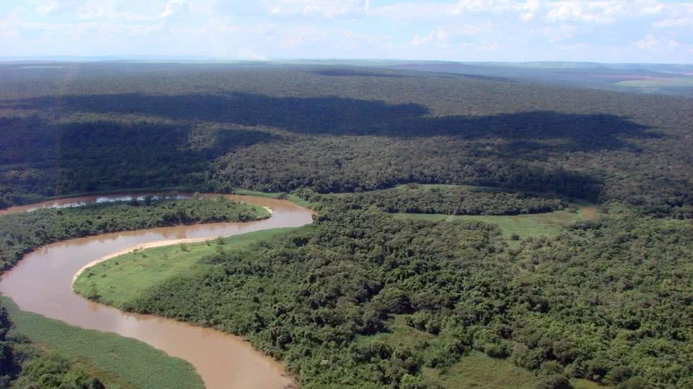 Animais recebem ajuda emergencial após incêndio devastar Estação Ecológica do Jataí - Imagem: Divulgação/ Governo de SP