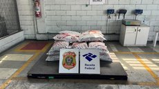 Cães farejadores Uruk e Kaoma, da Alfândega de Santos, ajudaram a localizar os entorpecentes - Imagem: Reprodução/ Receita Federal e Polícia Federal