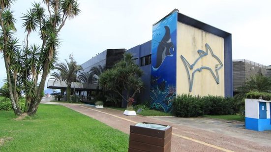 Imagem: Reprodução / Diário do Litoral