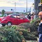 Árvore caiu sobre carro onde estavam um homem e o filho de quatro anos, em Itanhaém (SP); família conseguiu deixar o veículo antes da queda - Imagem: Rodrigo Nardelli/TV Tribuna