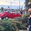 Árvore caiu sobre carro onde estavam um homem e o filho de quatro anos, em Itanhaém (SP); família conseguiu deixar o veículo antes da queda - Imagem: Rodrigo Nardelli/TV Tribuna