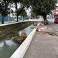 Rajadas de vento provocaram queda de árvores, suspensão das operações no Porto de Santos e diversos transtornos em cidades da Baixada Santista nesta quarta-feira (29) - Imagem: Matheus Croce/TV Tribuna