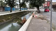 Rajadas de vento provocaram queda de árvores, suspensão das operações no Porto de Santos e diversos transtornos em cidades da Baixada Santista nesta quarta-feira (29) - Imagem: Matheus Croce/TV Tribuna