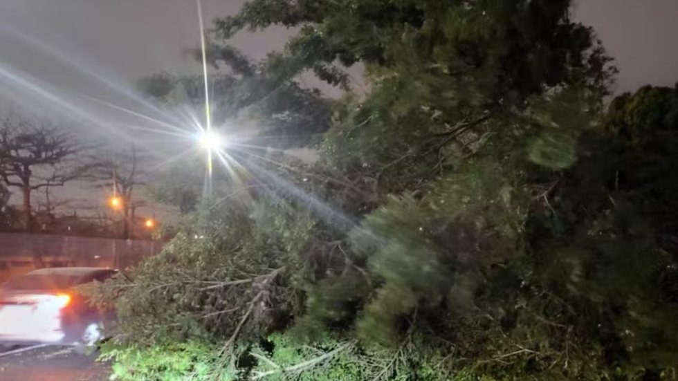 Estragos incluem árvores caídas, telhados danificados e um muro desabado, mas não há relatos de feridos ou desabrigados - Foto: Polícia Militar Rodoviária