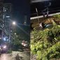A queda da árvore obstruiu o sentido praia-cais da avenida, afetando o fluxo de veículos na região durante a tempestade - Imagem: Reprodução
