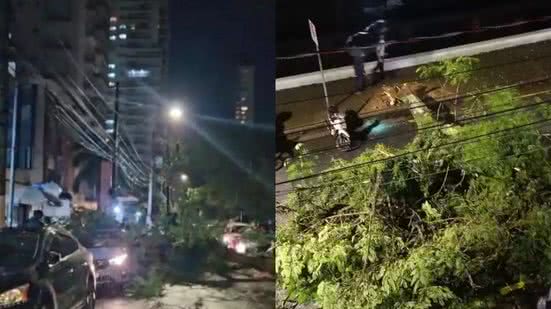 A queda da árvore obstruiu o sentido praia-cais da avenida, afetando o fluxo de veículos na região durante a tempestade - Imagem: Reprodução
