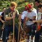 Árvore plantada pelo Príncipe Harry é roubada no litoral de SP - Imagem: Reprodução/ Redes Sociais