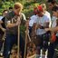 Árvore plantada pelo Príncipe Harry é roubada no litoral de SP - Imagem: Reprodução/ Redes Sociais