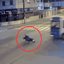 Imagens de segurança mostram motociclista em alta velocidade colidindo com ônibus em sinal amarelo, resultando em morte - Imagem: Reprodução