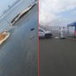 O corpo da baleia jubarte, com cerca de 11 metros, foi encontrado em estado avançado de decomposição e será analisado - Foto: Divulgação/ Prefeitura de Santos