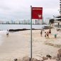 Bandeira vermelha alerta para risco à saúde em praias impróprias da Baixada Santista - Imagem: Reprodução