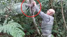 O DOA de Bertioga realiza atendimentos frequentes à fauna silvestre e orienta a população sobre como agir em situações semelhantes - Foto: Divulgação/ Prefeitura de Bertioga