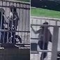 Imagens registraram momentos da discussão entre o casal na Avenida Presidente Castelo Branco, na orla da Guilhermina, em Praia Grande. A morte da mulher é investigada pela Polícia Civil. - Imagem: Reprodução