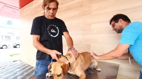 Após falta de estoque, posto de vacinação antirrábica reabre nesta quarta-feira em Santos - Imagem: Divulgação