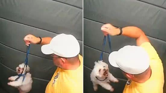 Imagens de câmera de segurança mostram agressão a cachorro em elevador em Praia Grande; Justiça mantém animal sob custódia - Imagem: Reprodução