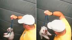 Imagens de câmera de segurança mostram agressão a cachorro em elevador em Praia Grande; Justiça mantém animal sob custódia - Imagem: Reprodução