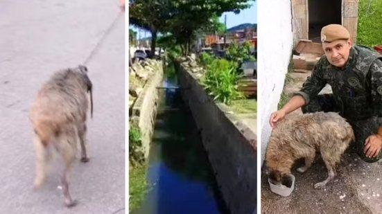Cachorro é retirado de canal pela Polícia Militar Ambiental após ser encontrado quase submerso em Guarujá - Imagem: PM Ambiental e Redes Sociais
