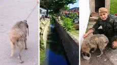 Cachorro é retirado de canal pela Polícia Militar Ambiental após ser encontrado quase submerso em Guarujá - Imagem: PM Ambiental e Redes Sociais