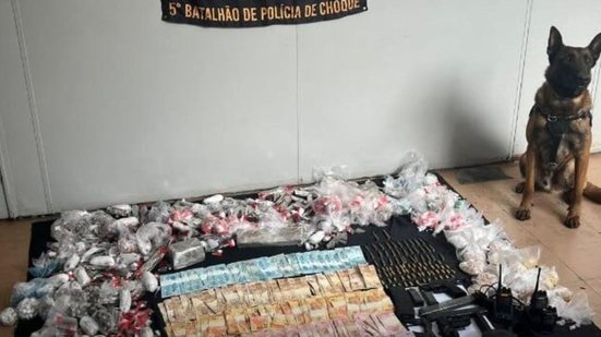 A descoberta de um esconderijo de drogas e armas em Santos destaca a importância dos cães farejadores na segurança pública - Imagem: Reprodução/ Redes sociais