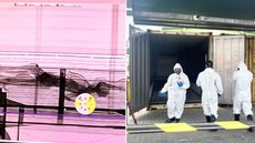 Contêiner onde o corpo foi localizado passou por inspeção no Porto de Santos, em setembro de 2023; informações sobre a vítima foram encaminhadas à Interpol na tentativa de viabilizar sua identificação - Imagem: Divulgação/Receita Federal