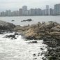 Homem encontrado na ilha Porchat não aparenta ser morador de rua, mas sua identidade permanece desconhecida após o achado - Foto: Esther Zancan