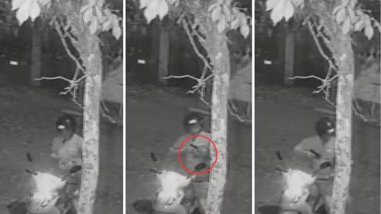 Imagens de monitoramento flagraram o momento em que o ex-agente Franco Hamad Dacca Sousa matou a própria cadela em São Vicente - Imagem: Reprodução