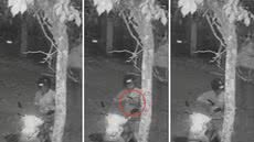 Imagens de monitoramento flagraram o momento em que o ex-agente Franco Hamad Dacca Sousa matou a própria cadela em São Vicente - Imagem: Reprodução