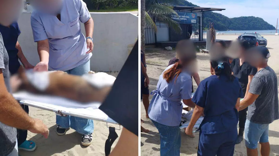 O caso de maus tratos acontece poucas semanas após o caso Orelha, que repercurtiu nacionalmente - Imagem: Reprodução / A Tribuna