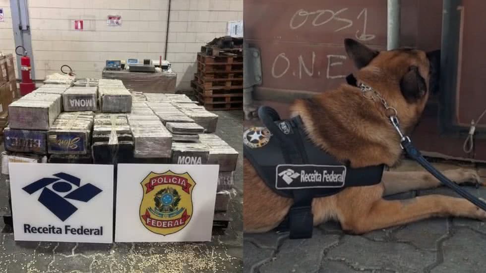 A ação da Receita Federal no Porto de Santos destaca a importância da inspeção e combate ao tráfico de drogas no comércio exterior - Imagem: Divulgação/ Receita Federal