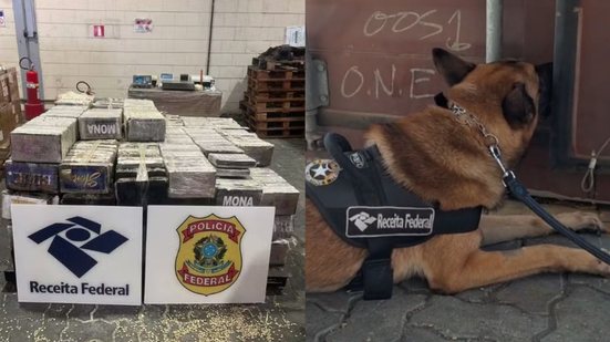 A ação da Receita Federal no Porto de Santos destaca a importância da inspeção e combate ao tráfico de drogas no comércio exterior - Imagem: Divulgação/ Receita Federal