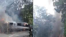 Caminhão com carga de algodão pega fogo em rodovia do litoral - Imagem: Reprodução/ Redes Sociais