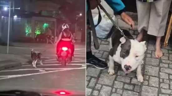 Vídeo mostra cachorro sendo conduzido preso à coleira ao lado de uma motocicleta no bairro do Embaré, em Santos. Caso foi investigado pela Polícia Civil após repercussão nas redes sociais. - Imagem: Redes sociais e Divulgação/Polícia Civil
