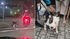 Vídeo mostra cachorro sendo conduzido preso à coleira ao lado de uma motocicleta no bairro do Embaré, em Santos. Caso foi investigado pela Polícia Civil após repercussão nas redes sociais. - Imagem: Redes sociais e Divulgação/Polícia Civil