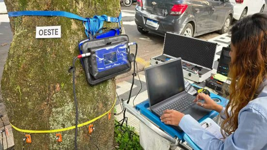 Equipamentos de alta precisão passaram a ser utilizados em Guarujá para avaliar a estrutura interna das árvores e identificar riscos de queda sem causar danos aos exemplares - Imagem: Divulgação/Prefeitura de Guarujá