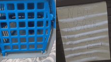 Macaco encontrado no bairro Aviação foi mantido em segurança dentro de uma residência até a chegada das equipes responsáveis pelo resgate em Praia Grande - Imagem: Arquivo Pessoal