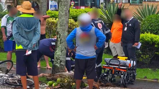 Um homem de 53 anos sofreu uma queda de coqueiro e não sobreviveu, gerando comoção e investigação na Praia Grande - Foto: Reprodução/ Redes Sociais