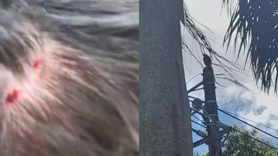 Rafael Martinez levou um susto ao ser atingido na cabeça por um gavião, que deixou cortes superficiais e gerou preocupação na família - Foto: Arquivo pessoal/ Reprodução