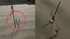 Vistoria revela que ferros na praia são parte de obra irregular, e prefeitura notifica empresa responsável pela remoção - Imagem: Arquivo Pessoal