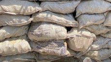 Com a apreensão, a carga de quartzo agora pertence ao governo, e a empresa terá que arcar com multas pesadas pela fraude - Imagem: Reprodução