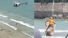 Jovem foi resgatado com vida, mas o idoso, em parada cardiorrespiratória, não resistiu aos esforços dos socorristas - Foto: Fabrício Novelli/ StarDrone_films