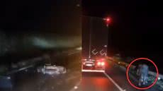 Um motociclista perdeu a vida após colidir com um búfalo que invadiu a pista na BR-116, causando um grande congestionamento - Imagem: Reprodução/ Redes Sociais