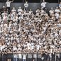 Organizadas do Santos prometem cantar juntas durante toda a partida - Foto: Raul Baretta/ Santos FC
